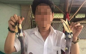 Đại diện Vườn Quốc gia Bù Gia Mập lên tiếng vụ chim quý bị xẻ thịt