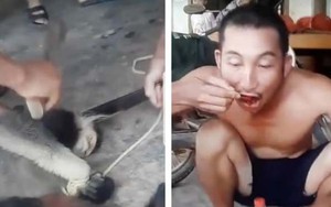 Giết khỉ, ăn óc: 'Muối của rừng' ở đâu?