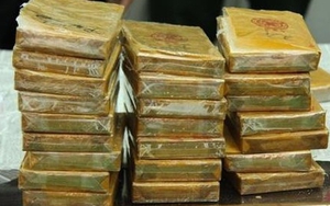 Tuyên 9 án tử hình trong đường dây mua, bán trái phép ma túy từ Sơn La về Hà Nam