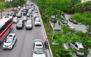 Đầu tuần nhìn 1 triệu cây xanh Hà Nội