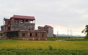 Hải Phòng: Thu hồi 194,09 ha đất vi phạm pháp luật về đất đai