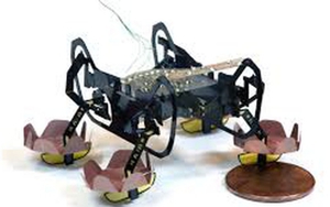 Robot tí hon của Đại học Harvard sẽ là trợ tá đắc lực đầy hứa hẹn