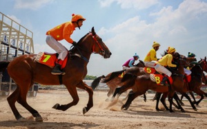 Bổ sung Dự án tổ hợp vui chơi giải trí đa năng - Trường đua ngựa vào Quy hoạch thành phố Hà Nội