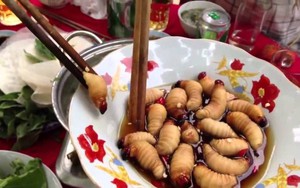 Sống chậm cuối tuần: Ngắm con sâu trong nồi canh