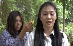 10 sự kiện, vấn đề văn hóa trong nước nổi bật 2018