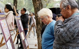 Hình ảnh từ Triển lãm Giải Biếm họa báo chí Việt Nam - Cúp Rồng tre lần V-2018