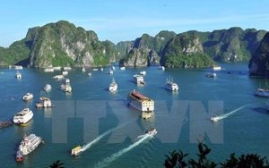 Đình chỉ hoạt động 2 tàu du lịch do vi phạm quy định về quản lý hoạt động tàu du lịch trên vịnh Hạ Long