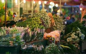 Theo chân nhóm Ký họa đô thị Hà Nội về làng hoa, chợ Tết