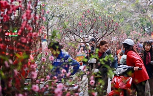 Lắng đọng Hà Nội những ngày sang Xuân