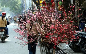 Thời tiết 1/2: Bắc Bộ có mưa nhỏ, Nam Bộ nắng nóng 35 độ C