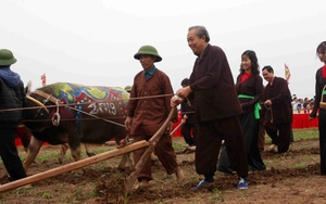 Phó Thủ tướng Thường trực Chính phủ Trương Hòa Bình thực hiện nghi lễ cày tịch điền