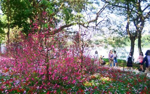 Hết Tết, còn Xuân