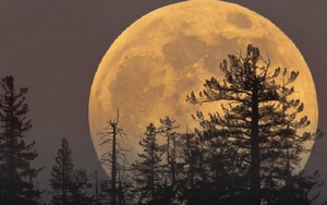 Siêu trăng xuất hiện vào rằm tháng Giêng