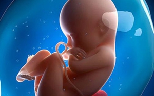 Bang Mississippi Mỹ thông qua luật cấm phá thai khi thai nhi có nhịp tim