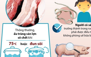 Làm gì để phòng chống bệnh sán lợn?