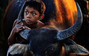 'Cứ theo lối mòn thì không cần nhiếp ảnh chuyên nghiệp'