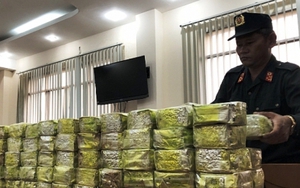 Những vụ án ma túy lớn bị phát hiện, bắt giữ gần đây