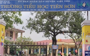 Thầy giáo bị tố sàm sỡ nữ sinh được chuyển làm... nhân viên hành chính