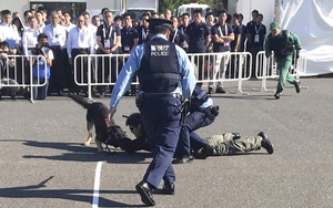 Tấn công bằng dao tại trường tiểu học ở Trung Quốc