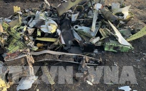 Sự cố máy bay Boeing 737 MAX: Gia đình một nạn nhân kiện hãng Boeing