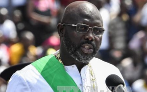 Tổng thống Liberia làm việc tại nhà sau khi phát hiện rắn độc tại nhiệm sở