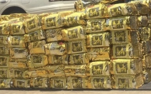 Hàng loạt vụ ma túy 'khủng' bị phát hiện và bắt giữ từ đầu năm tới nay