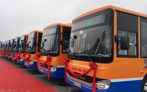 Sẽ mở thêm tuyến buýt chất lượng cao Hà Đông - sân bay Nội Bài