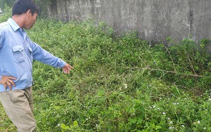 Điều tra việc học sinh lớp 2 ở Nghệ An nghi bị xâm hại