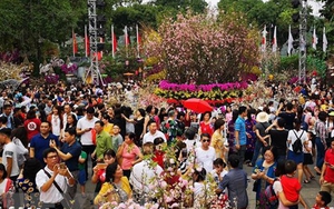 Lễ hội hoa anh đào được xác lập kỷ lục Việt Nam