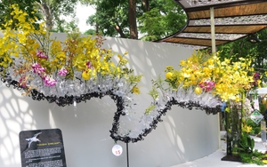 Cùng ngắm các tác phẩm tại Festival hoa lan 2019