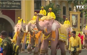 Voi Thái Lan cung kính cúi lạy vị vua mới