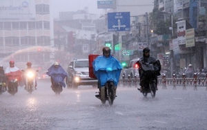 Đêm 31/1 và sáng 1/2, cảnh báo gió mạnh và sóng lớn trên biển