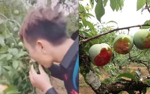 Lỗi không phải tại 'phượt'