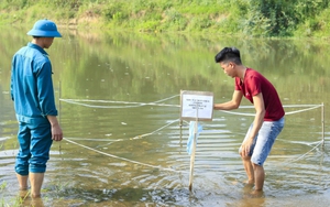 Điện Biên: Lên phương án hủy nổ quả bom phát hiện dưới lòng suối