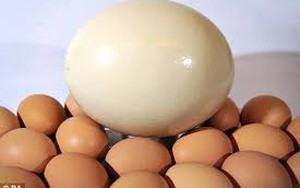 Truyện cười bốn phương: Người đẻ trứng