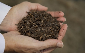 Mỹ: Bang Washington hợp pháp hóa việc biến thi thể người chết thành phân hữu cơ