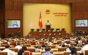 Dự thảo cấm bán rượu, bia từ 15 độ cồn trở lên trên mạng internet