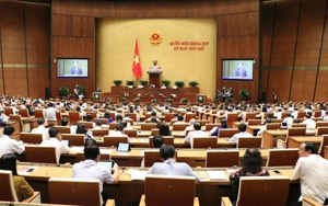 Quốc hội cho ý kiến dự án Luật Phòng, chống tác hại của rượu, bia