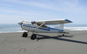 Rơi máy bay hạng nhẹ ở Canada, 2 người thiệt mạng