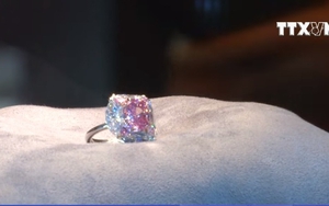 VIDEO: Cận cảnh viên kim cương hồng siêu hiếm 7,5 triệu USD
