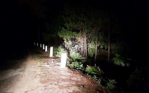 Tìm thấy thi thể lái xe và ô tô bán tải dưới hồ Suối Vàng