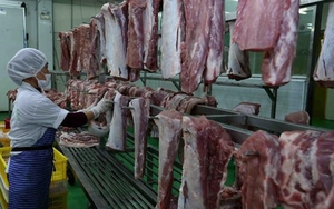 Hà Nội chủ động kiểm soát cơ sở giết mổ bình ổn giá thị trường thịt lợn trước dịch tả lợn châu Phi