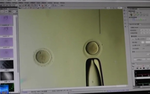 Trung Quốc kết án tù nhà khoa học chỉnh sửa gene người