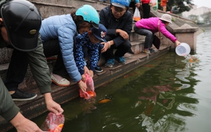 Chùm ảnh: Thả cá chép ngày ông Táo - nét đẹp văn hóa của người Việt