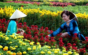 Những cung đường du xuân