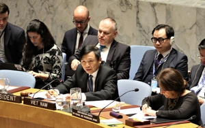 Việt Nam chủ trì Phiên họp của HĐBA về tình hình Israel và Palestine