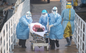 Chữ và nghĩa: Corona - Từ 'vương miện' hóa ra 'đại dịch'