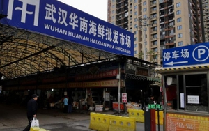 Cbiz 'đóng băng' vì dịch bệnh do virus corona: Cái khó ló cái khôn