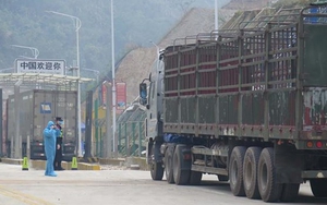 Dịch COVID-19: Lượng hàng chờ xuất khẩu tại cửa khẩu ngày càng tăng