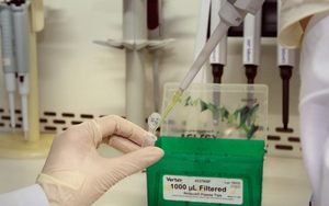 279 người liên quan đến bệnh nhân 262 tại Bắc Ninh đã âm tính với virus SARS-CoV-2